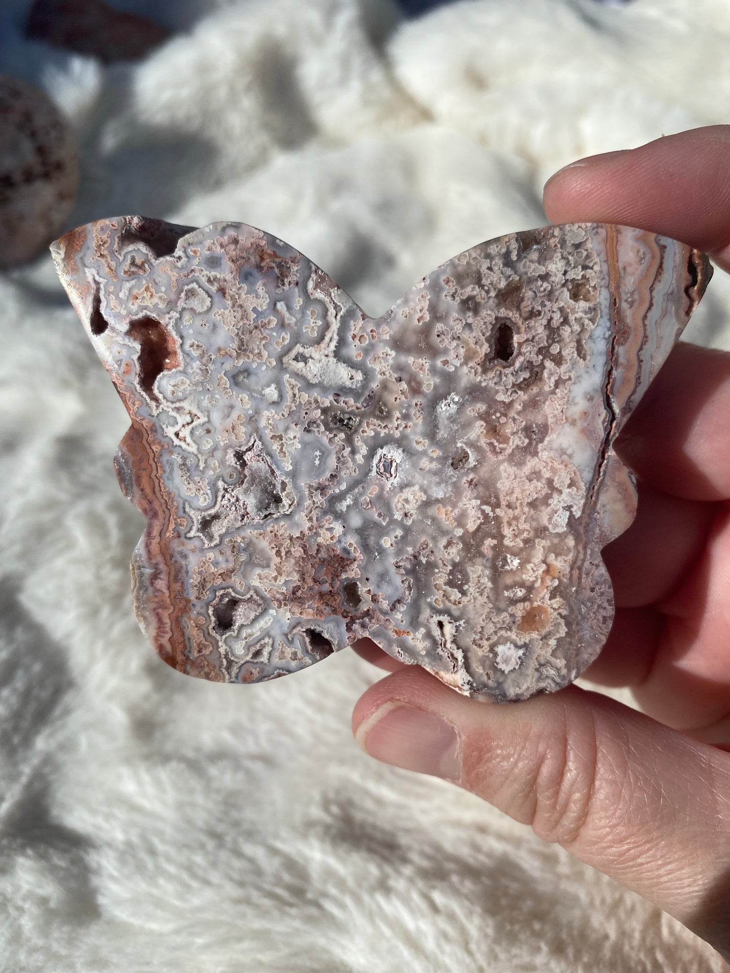 Pink Crazy Lace Agate Butterfly Carvings