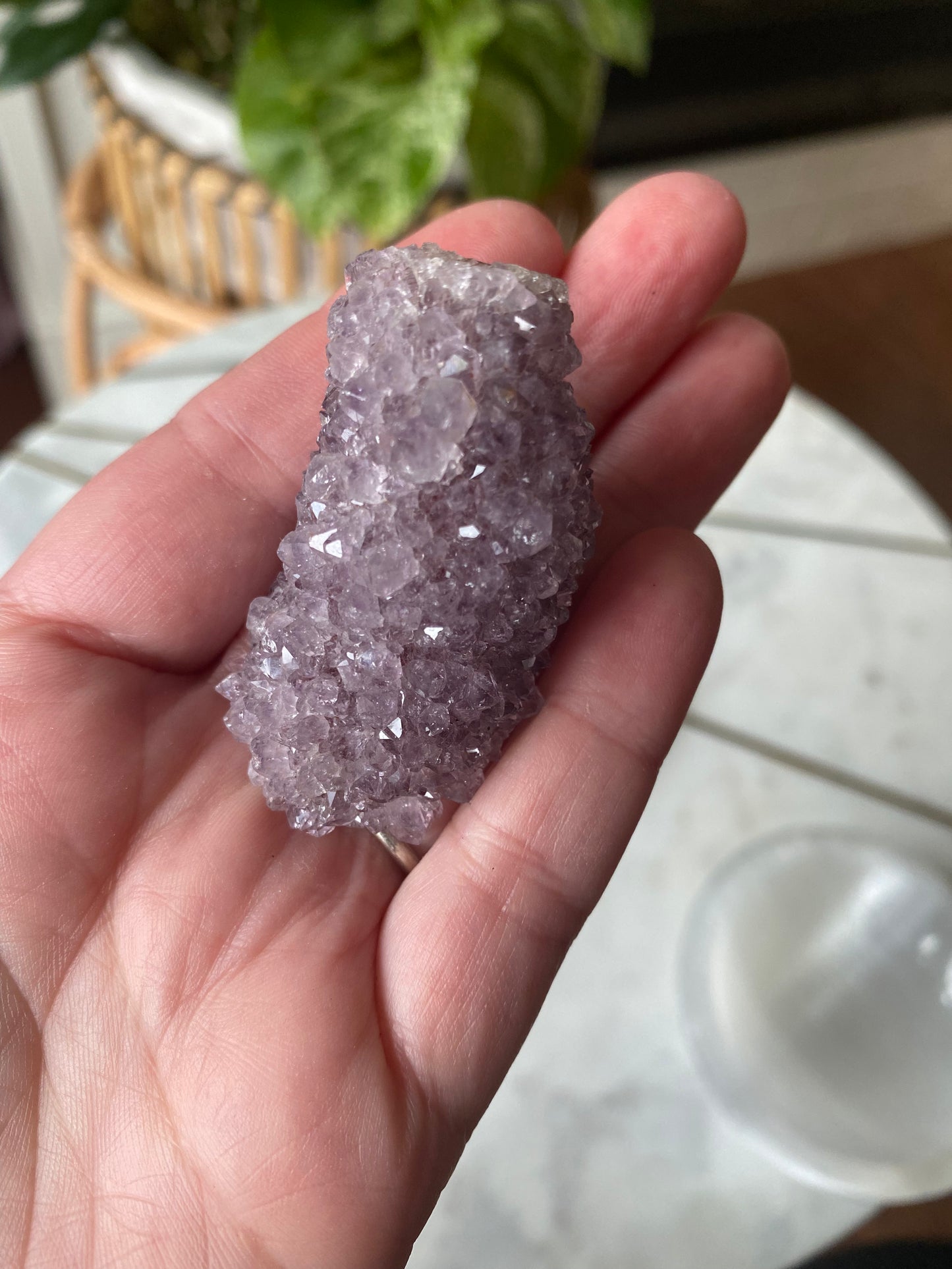 Amethyst Cluster