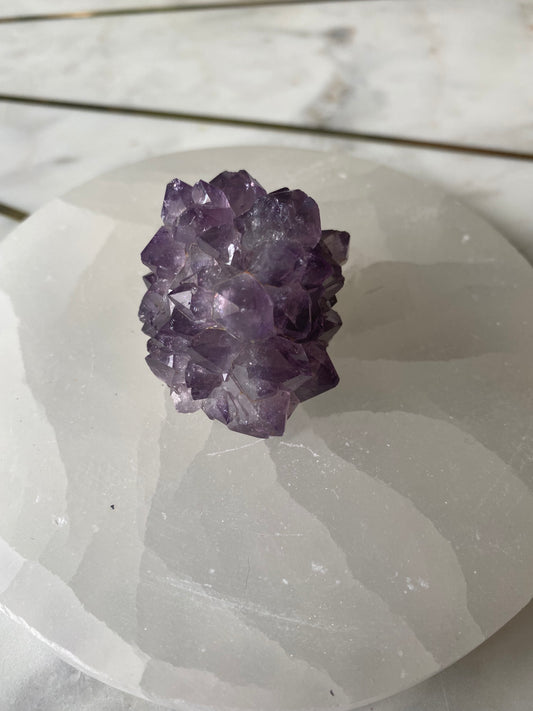 Amethyst Cluster