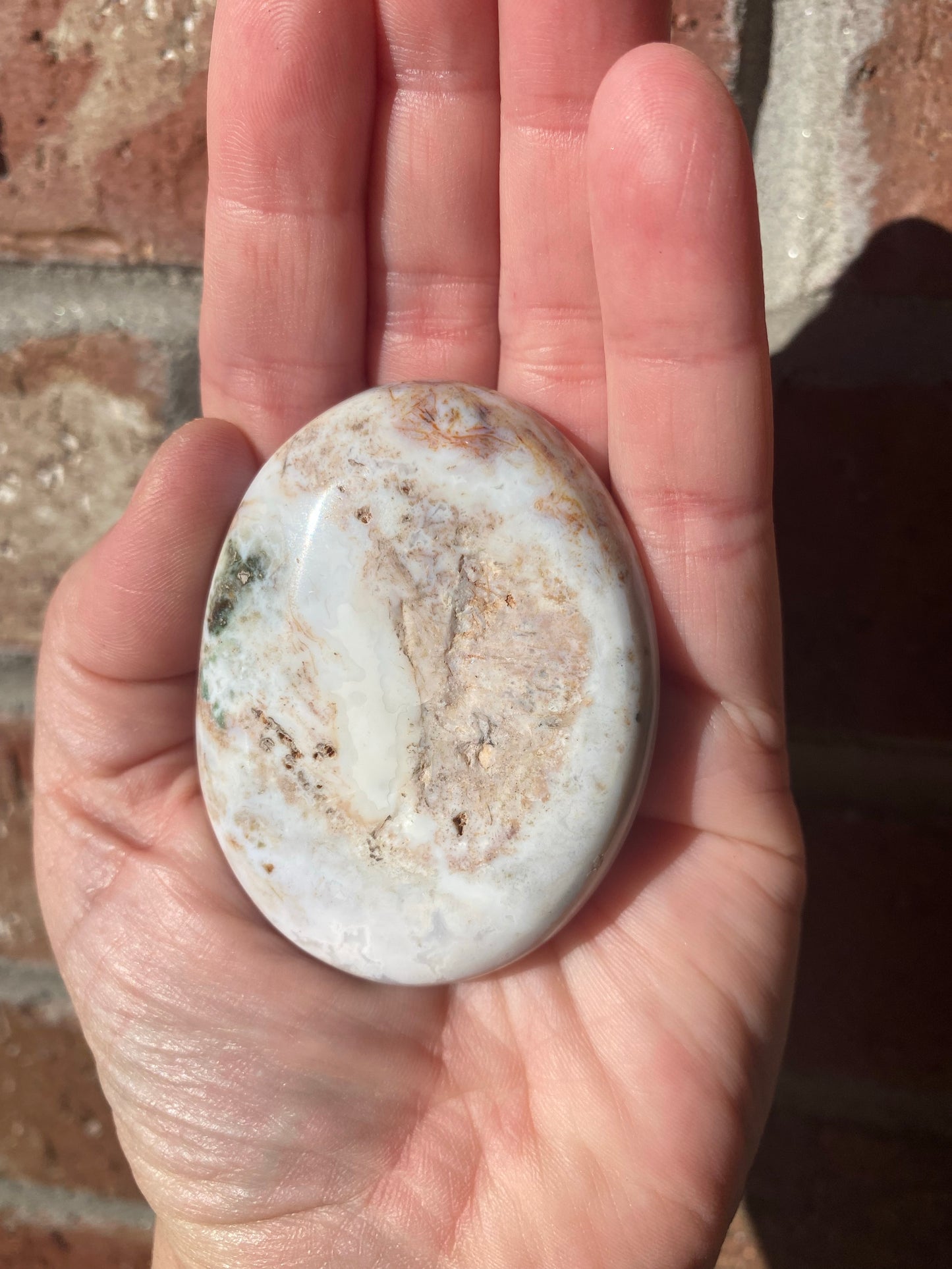 Ocean Jasper Palmstone