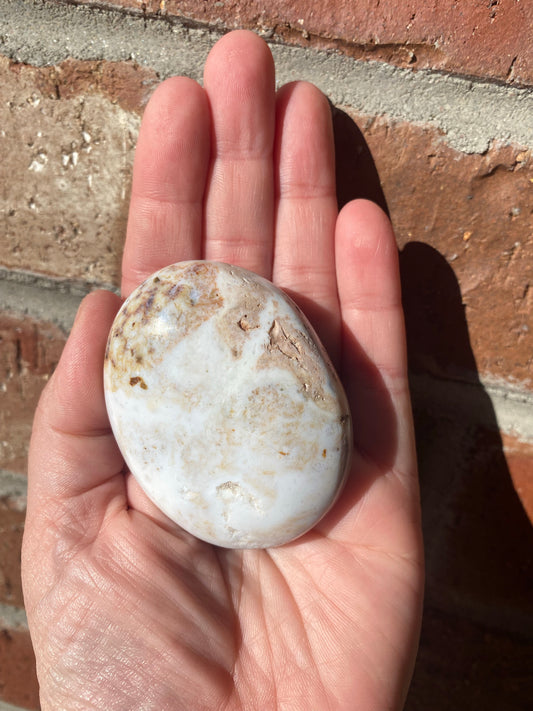 Ocean Jasper Palmstone