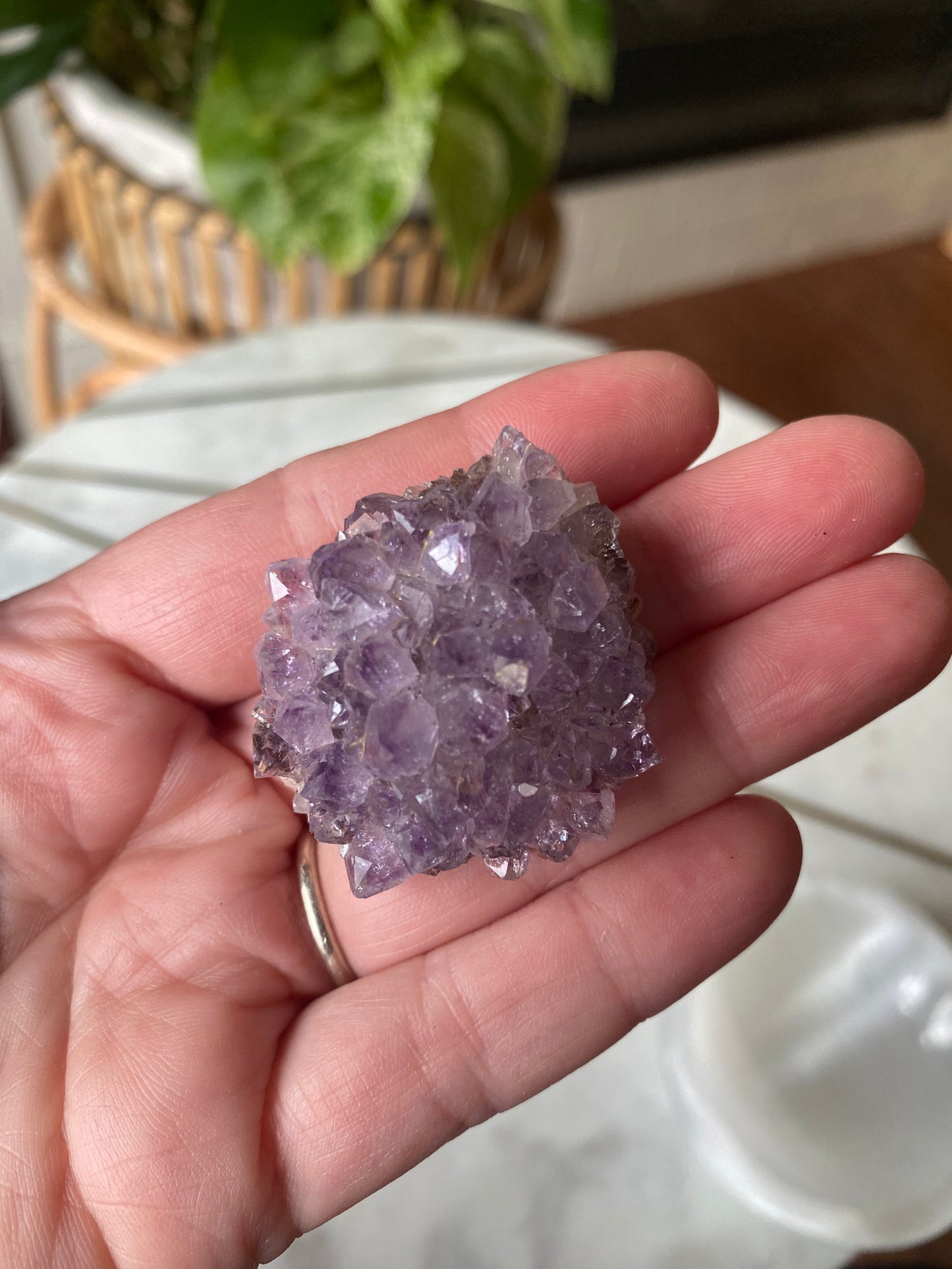 Amethyst Cluster