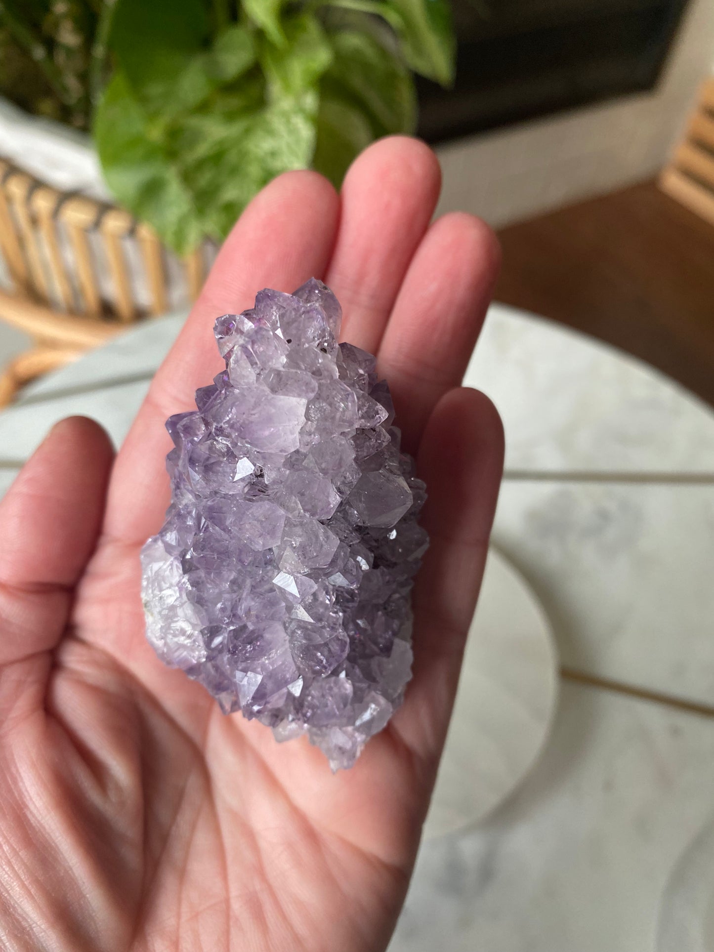 Amethyst Cluster