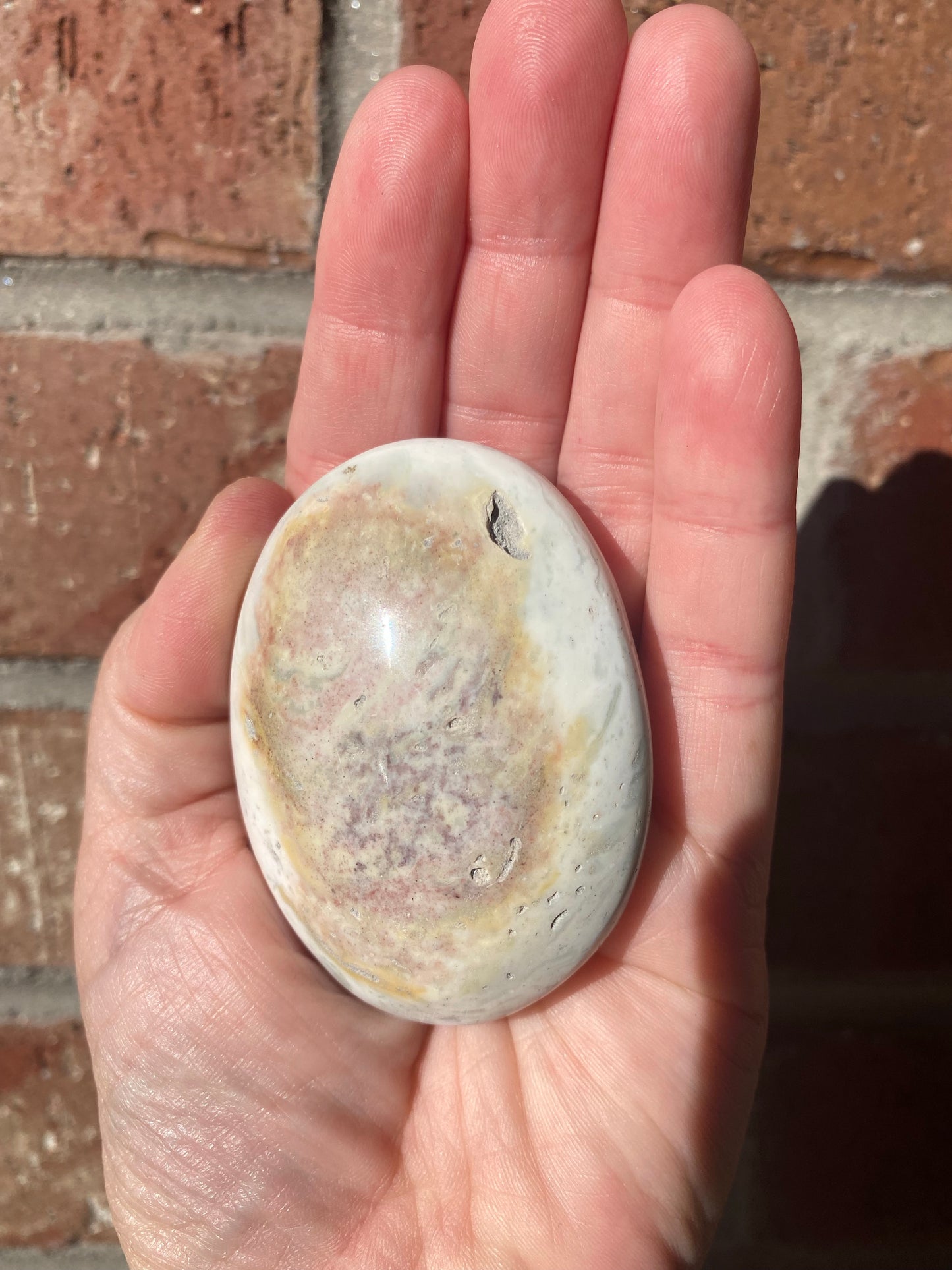 Ocean Jasper Palmstone