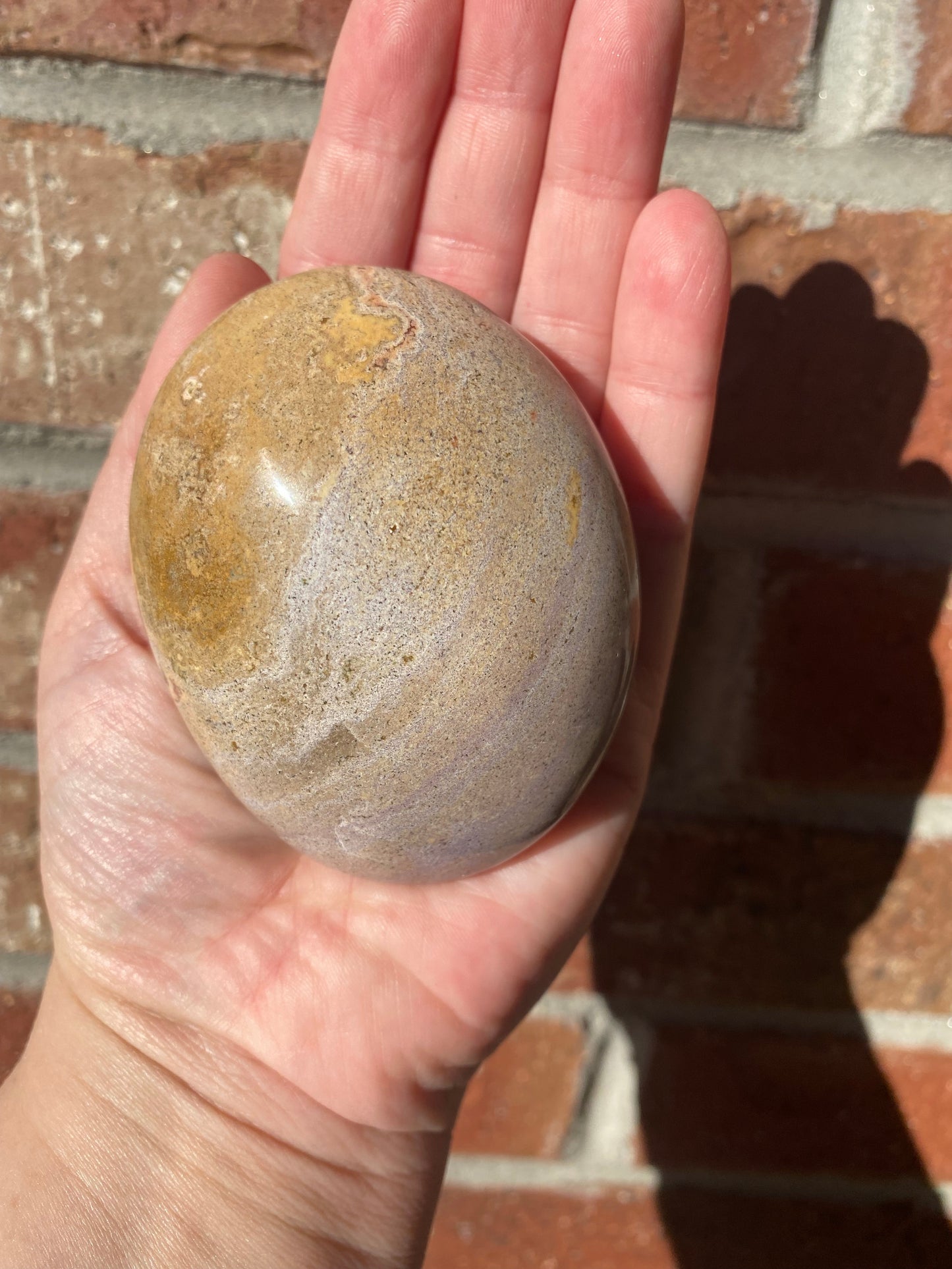 Ocean Jasper Palmstone