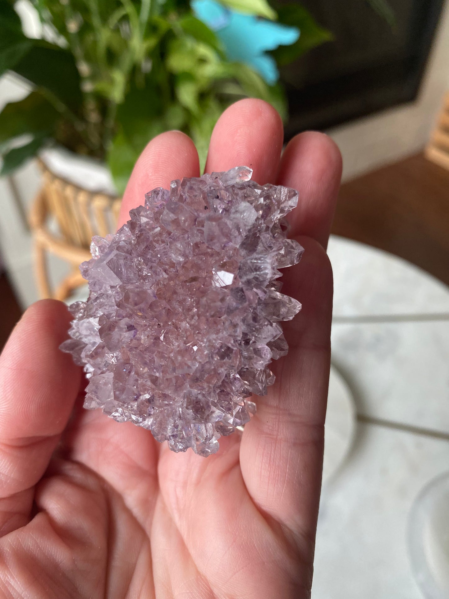 Amethyst Cluster