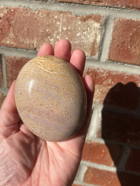 Ocean Jasper Palmstone