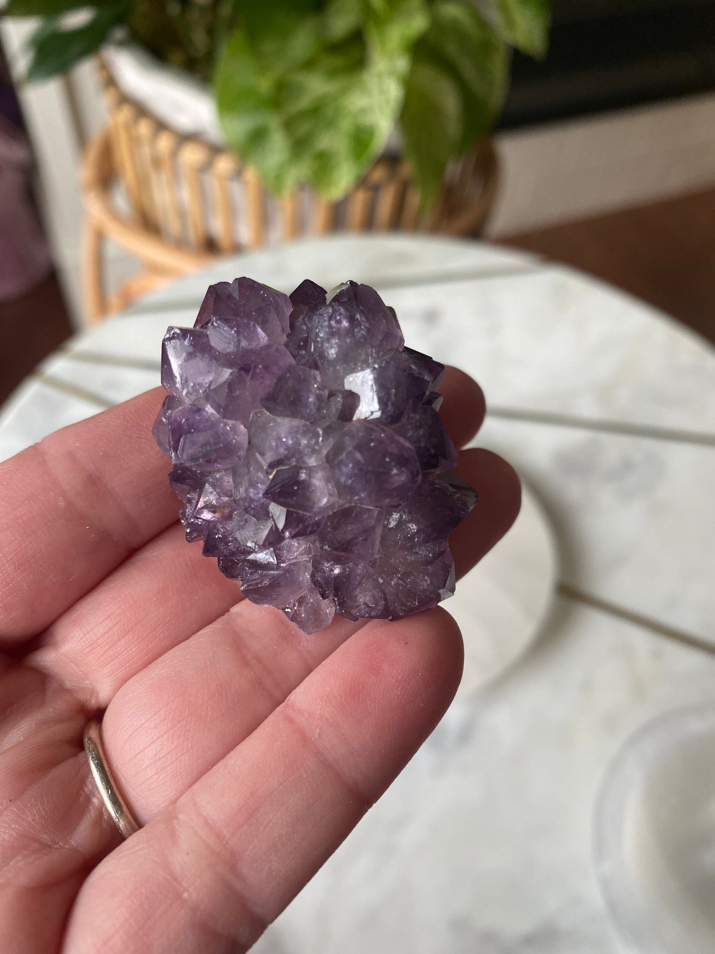 Amethyst Cluster