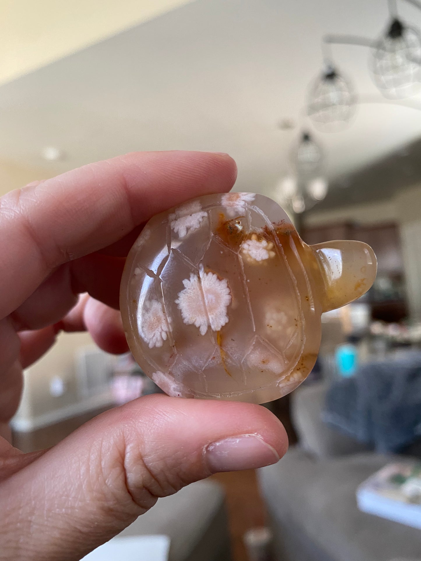 Flower Agate Turtle Carvings